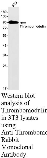 生物相关数据