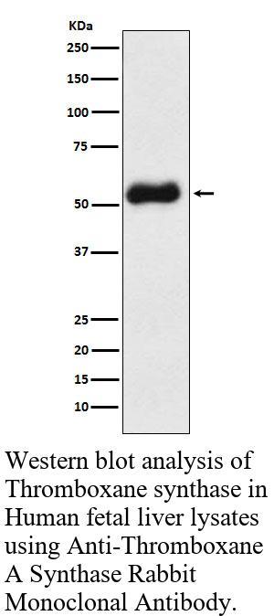 生物相关数据