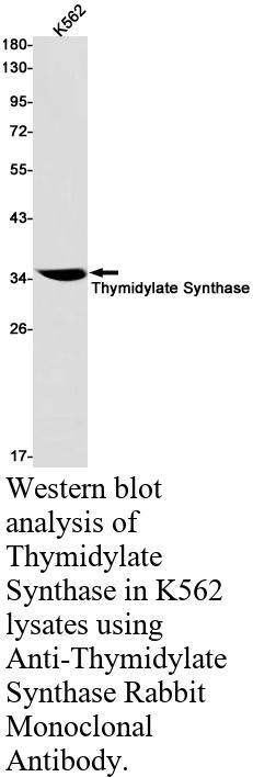 生物相关数据