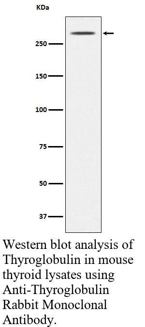 生物相关数据