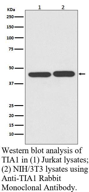 生物相关数据
