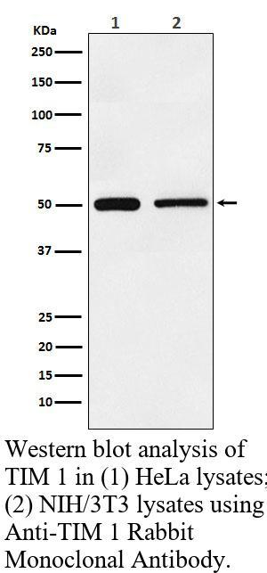 生物相关数据