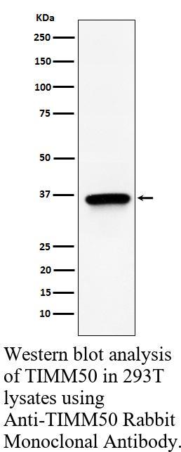 生物相关数据