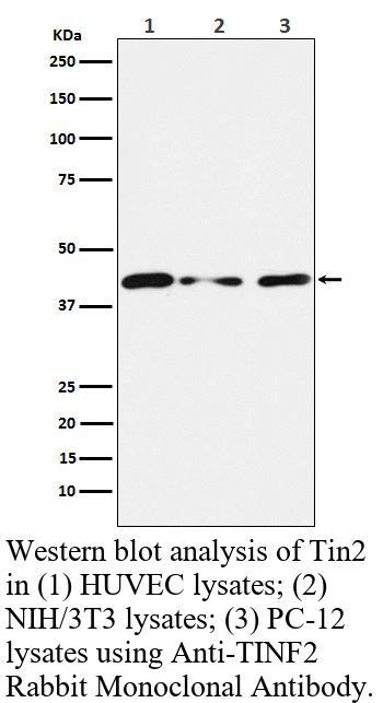 生物相关数据