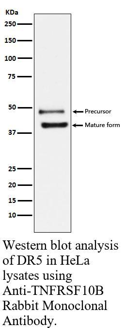 生物相关数据