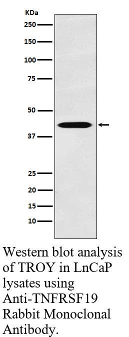 生物相关数据