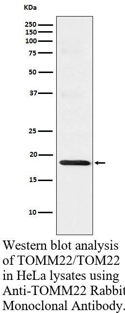 生物相关数据