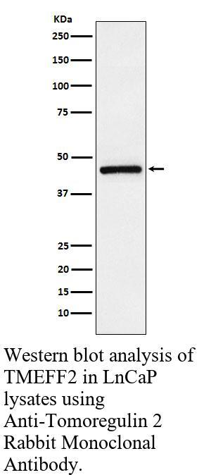 生物相关数据