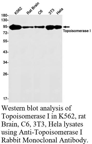 生物相关数据