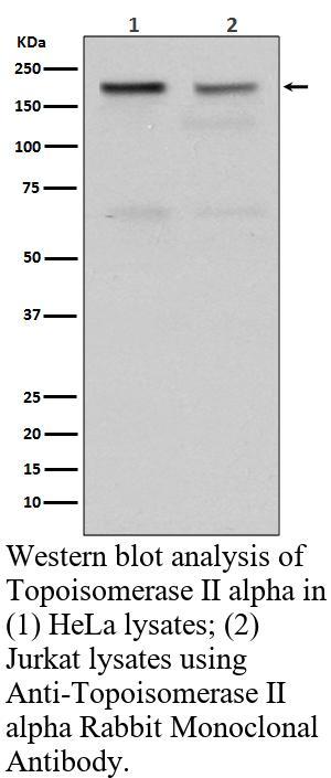生物相关数据
