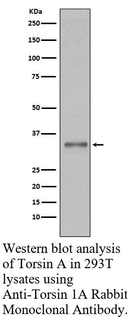 生物相关数据