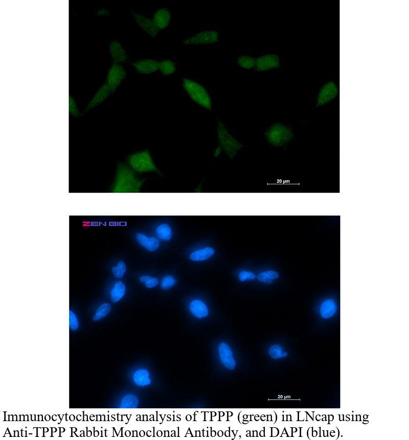 生物相关数据
