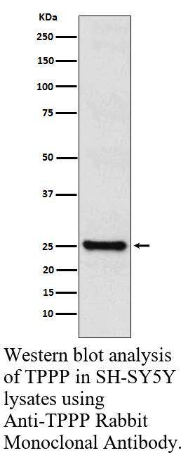 生物相关数据