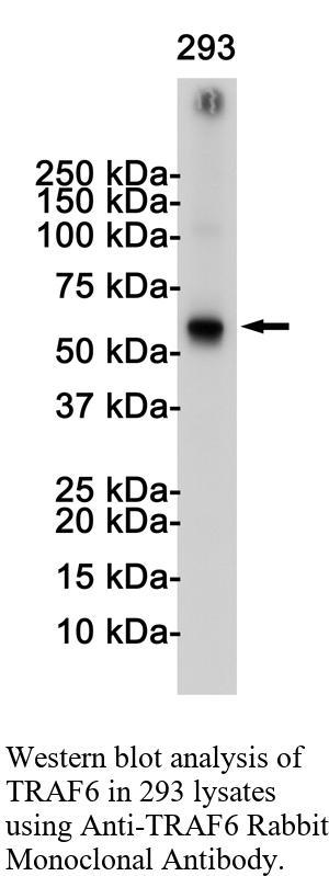 生物相关数据
