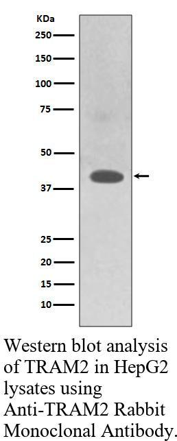 生物相关数据