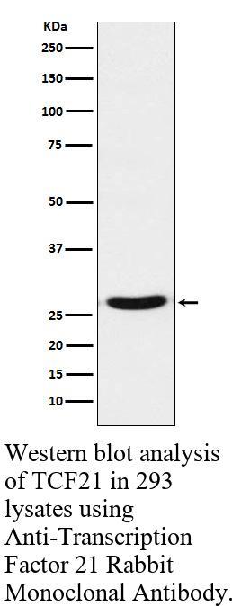 生物相关数据