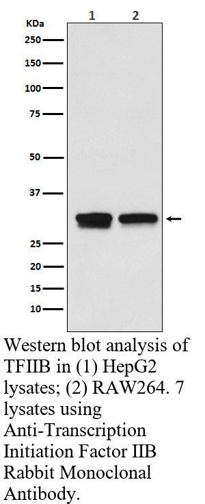 生物相关数据