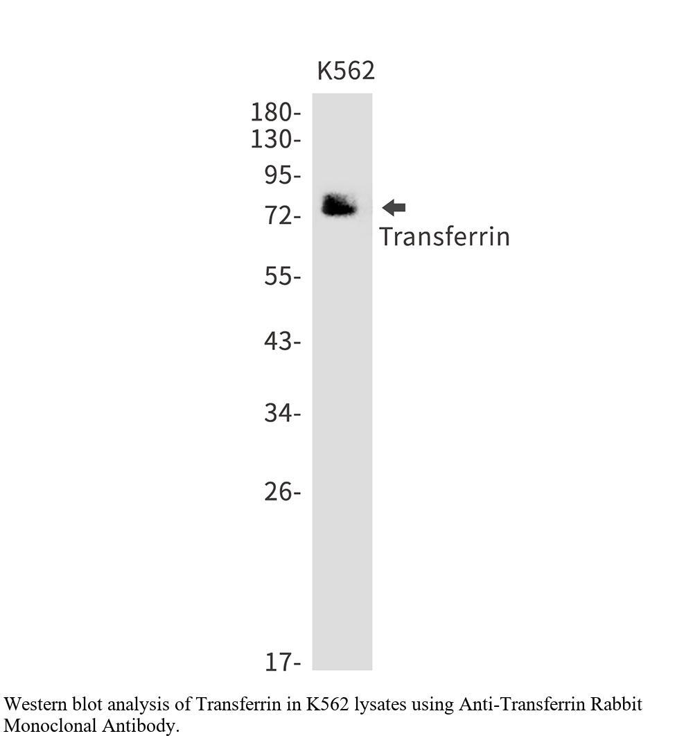 生物相关数据