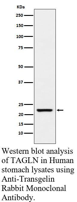 生物相关数据