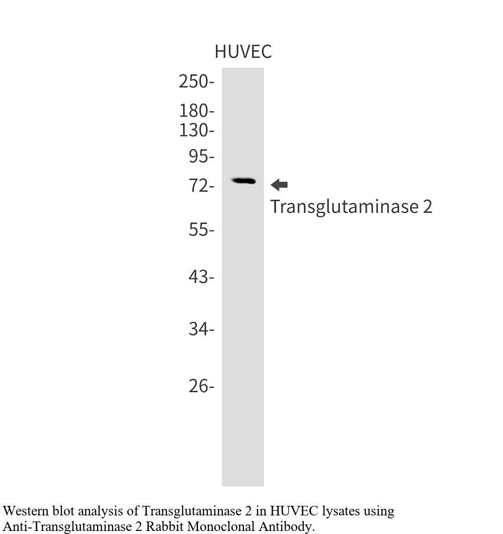 生物相关数据