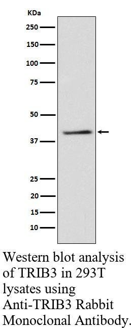 生物相关数据