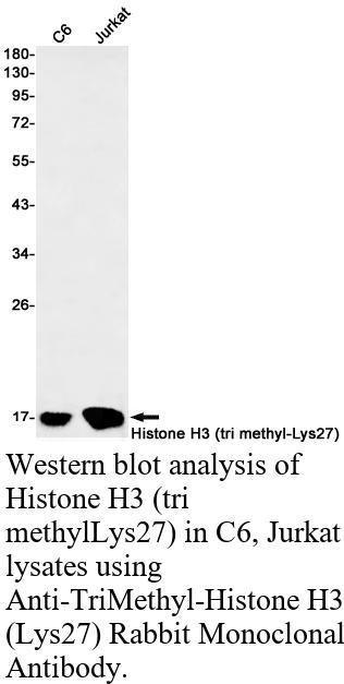 生物相关数据