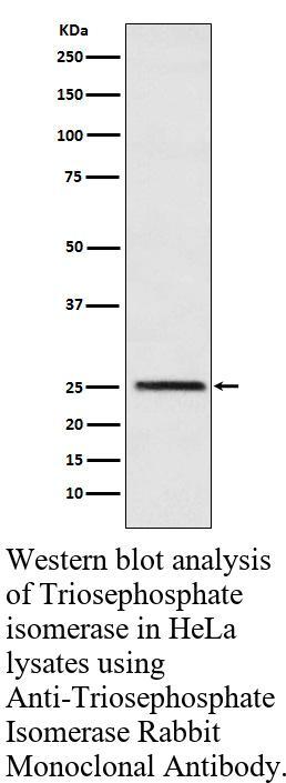 生物相关数据