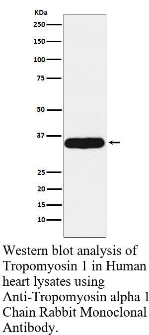 生物相关数据
