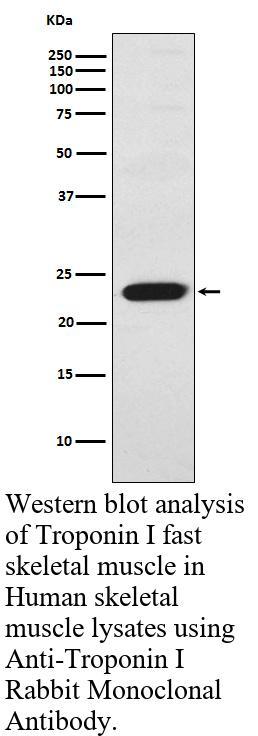 生物相关数据