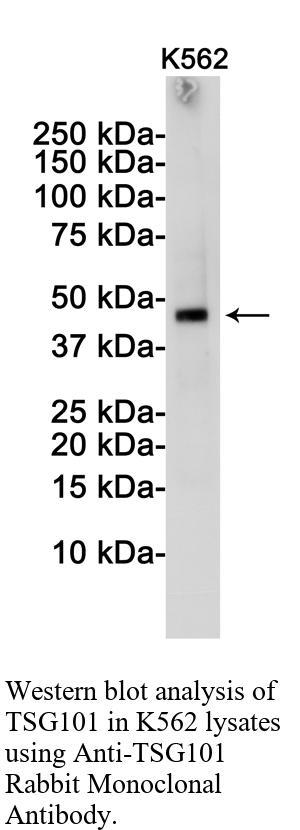 生物相关数据