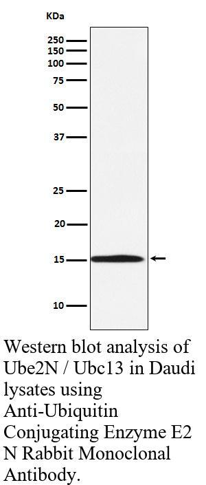 生物相关数据