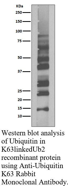 生物相关数据