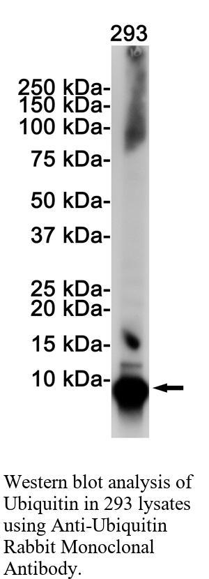 生物相关数据