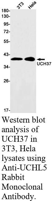 生物相关数据