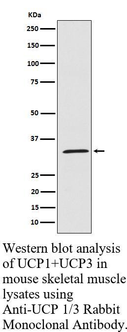 生物相关数据