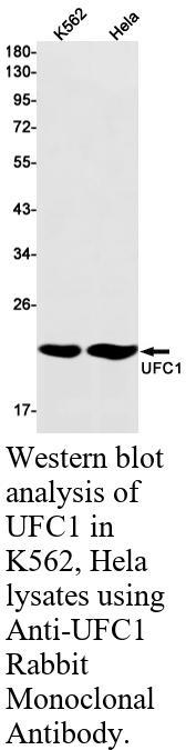 生物相关数据