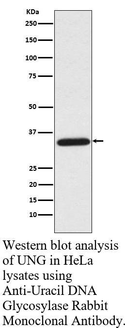 生物相关数据