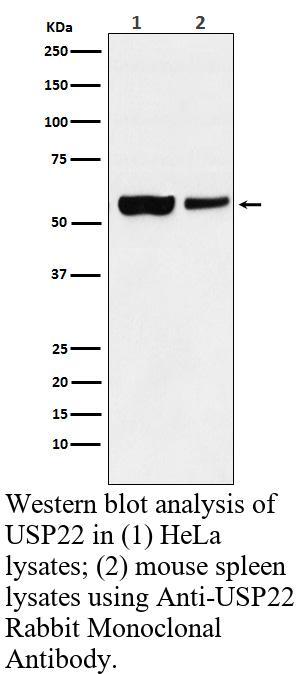生物相关数据