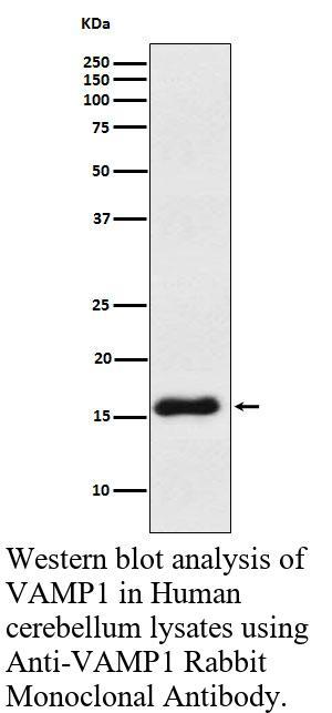 生物相关数据