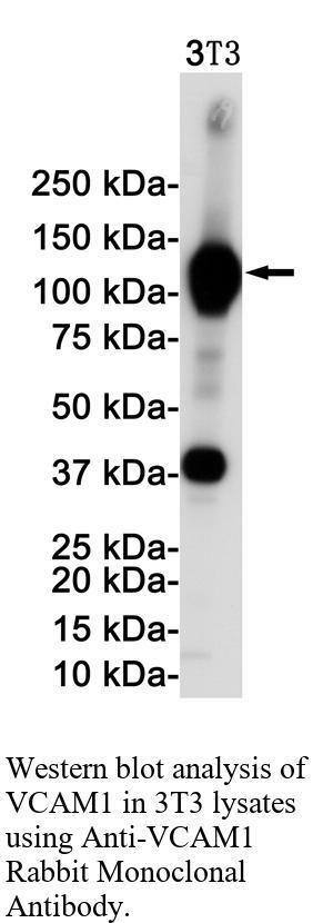 生物相关数据