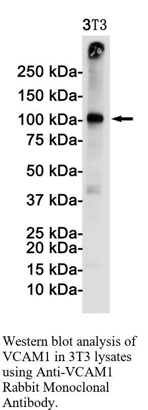 生物相关数据