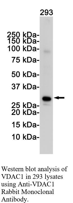 生物相关数据