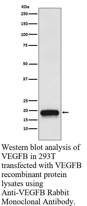生物相关数据