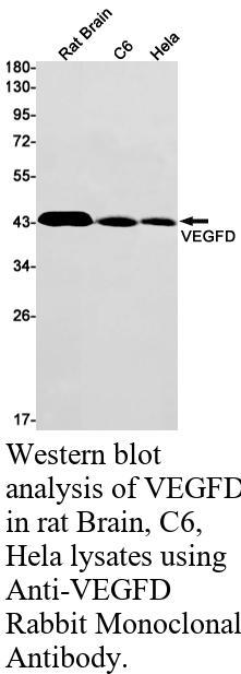 生物相关数据