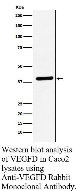 生物相关数据