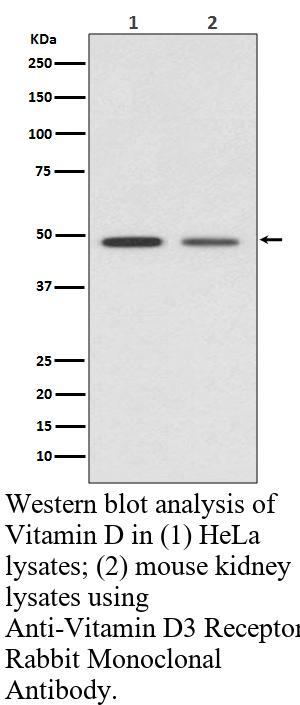 生物相关数据