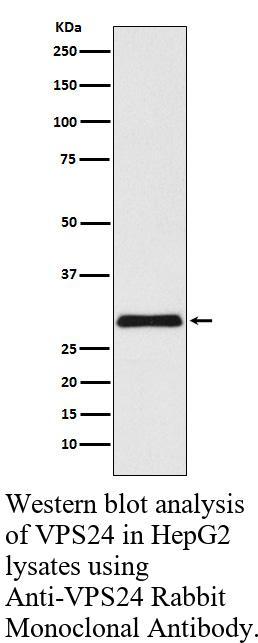 生物相关数据