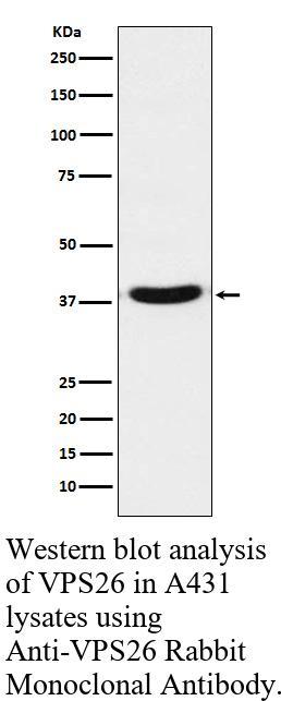 生物相关数据