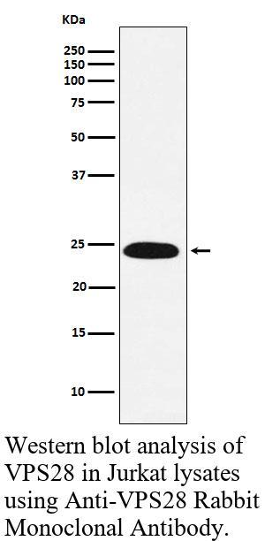 生物相关数据