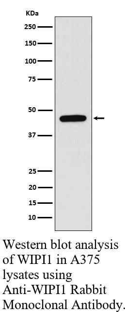 生物相关数据